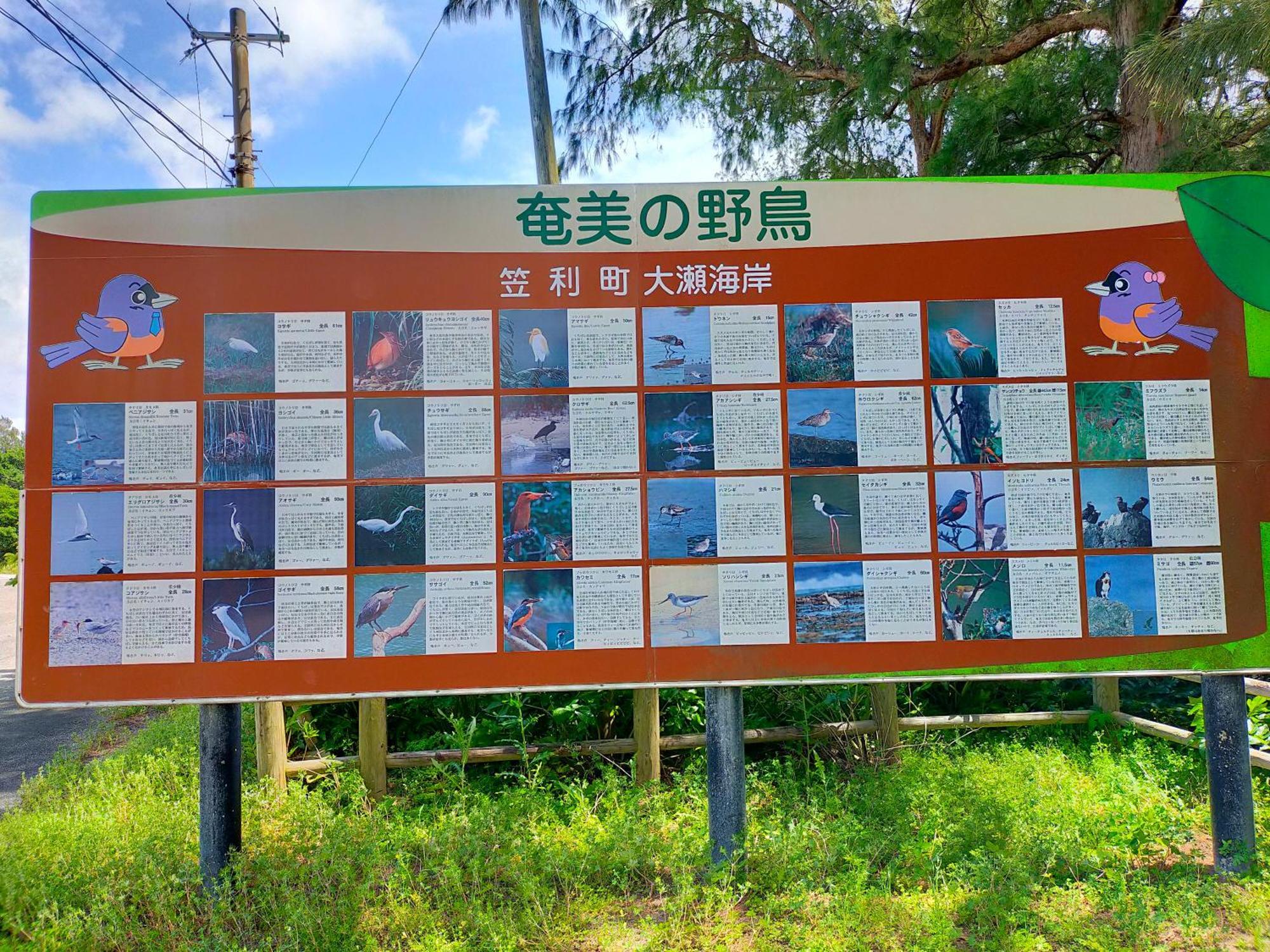 奄美ゲストハウス宇宿サンライズビーチ Amami Bagian luar foto